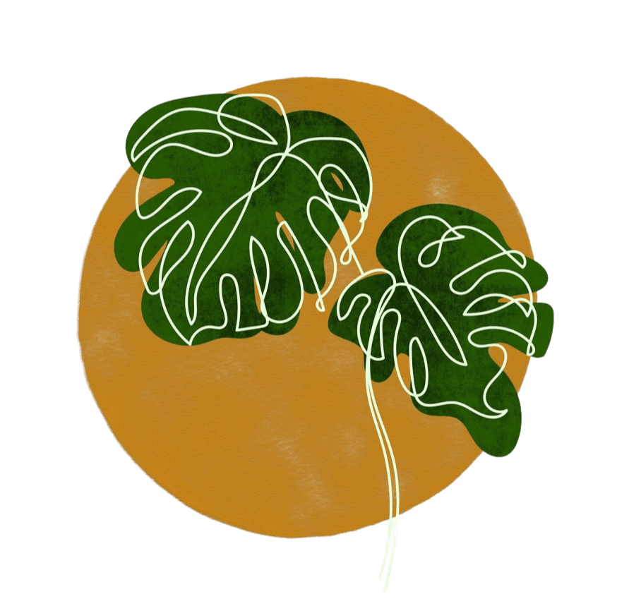 monstera image